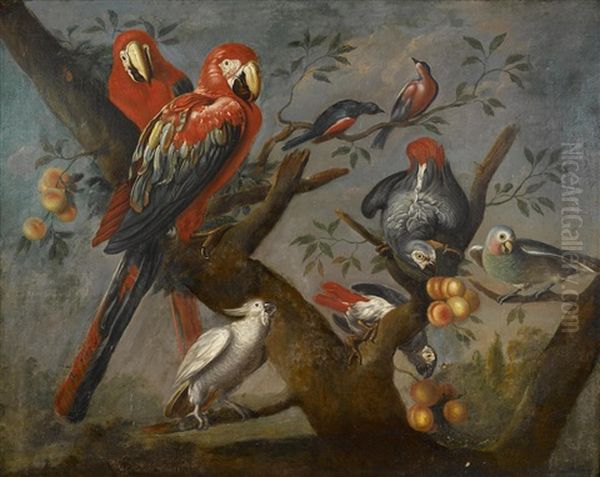 Parrots And Other Birds Perched On A Tree Oil Painting by Jakob Bogdani