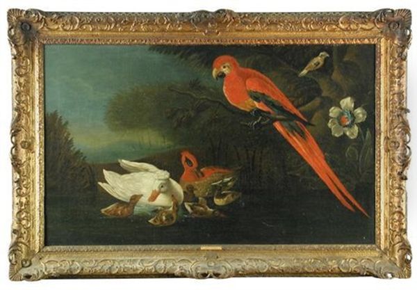 A Scarlet Macaw With Ornamental Domestic Ducks And Their Five Ducklings, With A Silver-breasted Broadbill Oil Painting by Jakob Bogdani