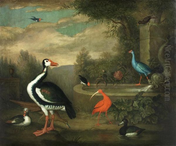 Exotic Birds, Ducks And Fowl By A Fountain In An Ornamental Park Oil Painting by Jakob Bogdani