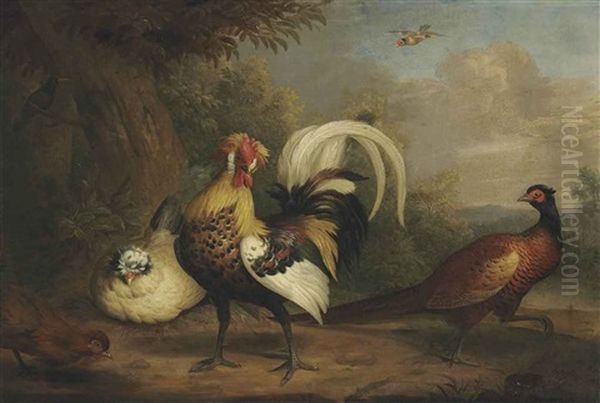 A Cock, A Pheasant And Other Birds In A Landscape Oil Painting by Jakob Bogdani