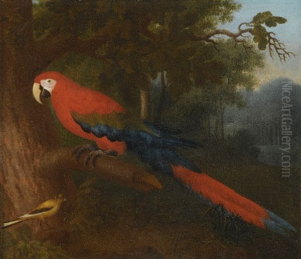 A Parrot And A Yellow Wagtail On A Branch Oil Painting by Jakob Bogdani