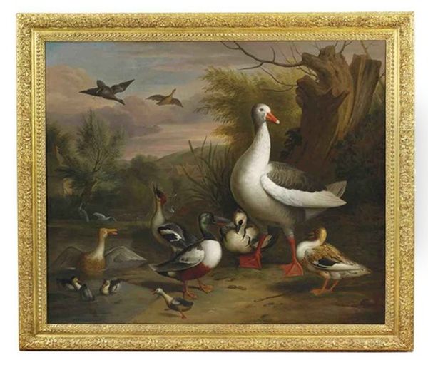 A Goose, Eider, Grebe And Other Fowl Beside A Pond Oil Painting by Jakob Bogdani