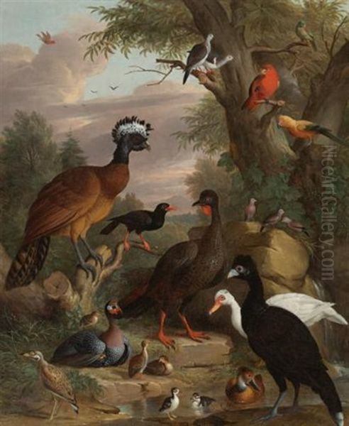 An Assembly Of Birds In A Parkland Landscape (+ Another; Pair) Oil Painting by Jakob Bogdani