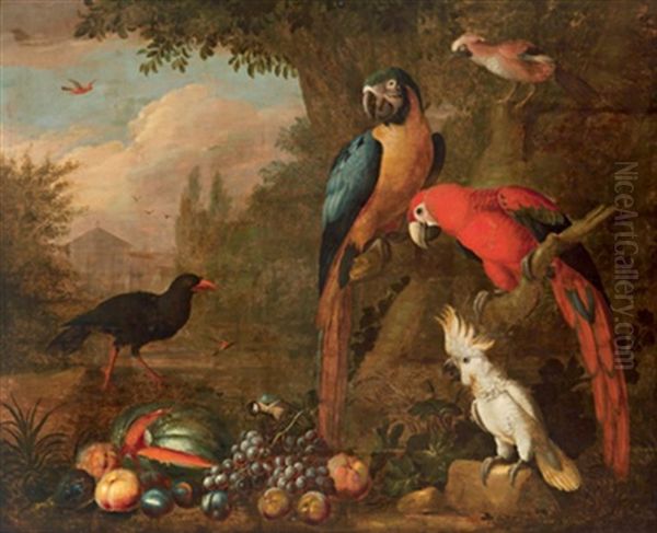 Papageien Und Andere Vogel In Einem Schlosspark Oil Painting by Jakob Bogdani