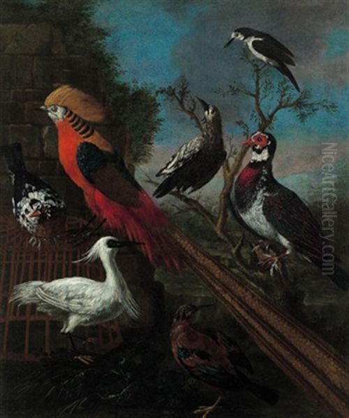 Ein Reiher, Ein Fasan Und Andere Vogel In Einer Landschaft Oil Painting by Jakob Bogdani