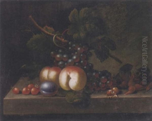 Peaches, Grapes, Strawberries, Nuts And A Plum On A Ledge Oil Painting by Jakob Bogdani