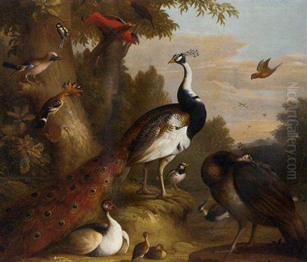 A Wooded Landscape With Peacocks And Other Birds In The Foreground Oil Painting by Jakob Bogdani