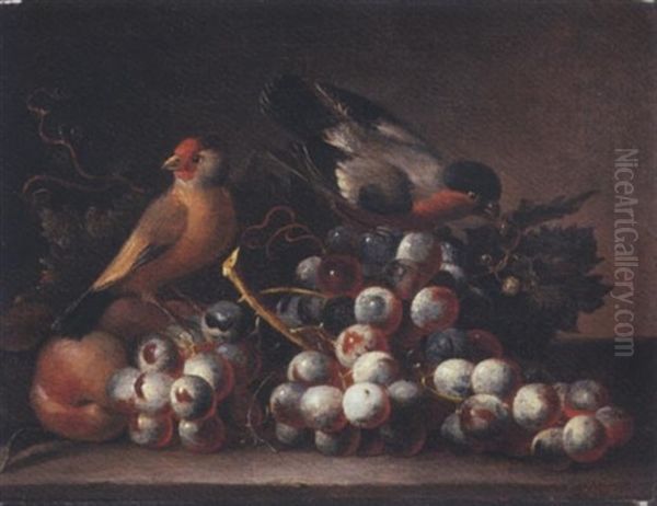 Grapes On The Vine And Peaches With Two Finches On A Ledge by Jakob Bogdani