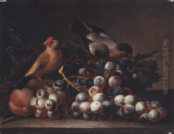 Grapes On The Vine And Peaches With Two Finches On A Ledge Oil Painting by Jakob Bogdani