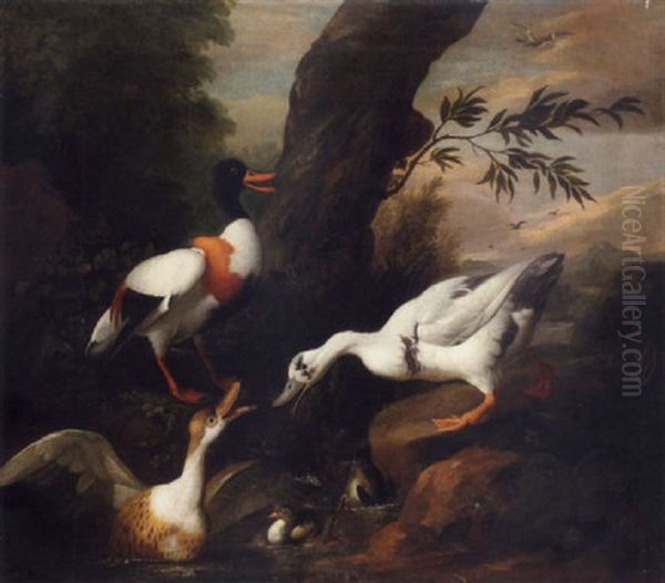 A Shelldrake And Other Ducks Around A Rock Pool In A Wooded Landscape Oil Painting by Jakob Bogdani