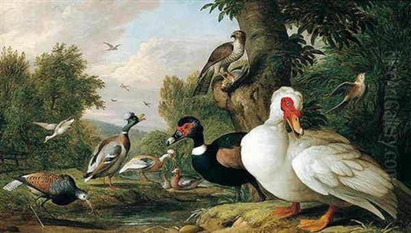 Muscovy And Tufted Duck With A Ruff, Sparrow Hawk And Other Birds Beside A Stream Oil Painting by Jakob Bogdani