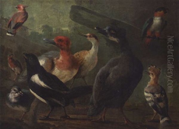 Landscape With A Black-capped Caique Parrot, A Hoopoe,a Magpie And Other Birds by Jakob Bogdani