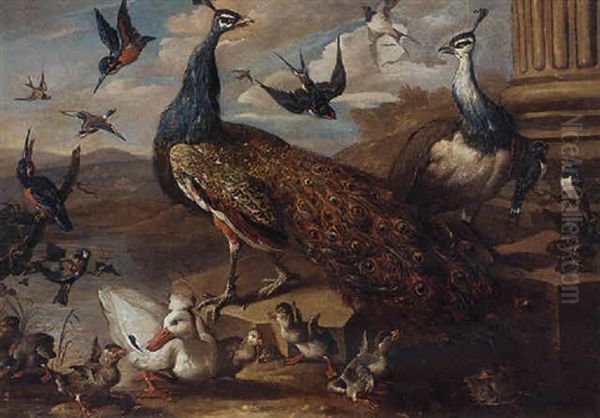 A Peacock And A Peahen, Swallows, Kingfishers, Ducks, And Ducklings By A Classical Column, In A Landscape Oil Painting by Jakob Bogdani