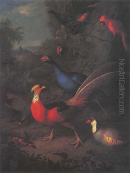 A Golden Pheasant, A Partridge, A Parakeet And Other Birds In A Tropical Woodland Landscape Oil Painting by Jakob Bogdani