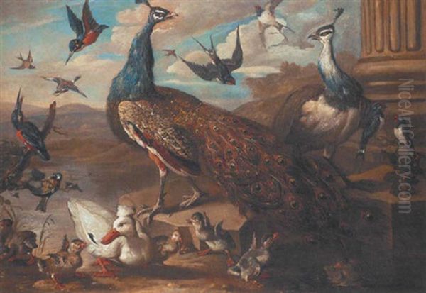 Peacocks, Swallows, Kingfishers, Ducks, And Duckling Beside A Stone Ledge And Column In A Landscape Oil Painting by Jakob Bogdani