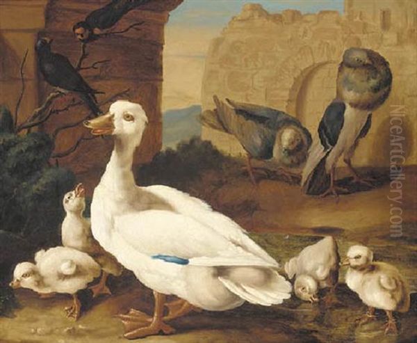 A Duck With Ducklings, Pigeons And Swifts Before A Ruined Wall Oil Painting by Jakob Bogdani