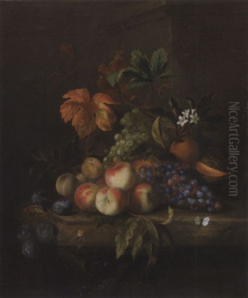 Peaches, Grapes, A Melon, Orange Blossom With An Orange, Plums, A Butterfly And A Snail, On A Marble Table Oil Painting by Jakob Bogdani