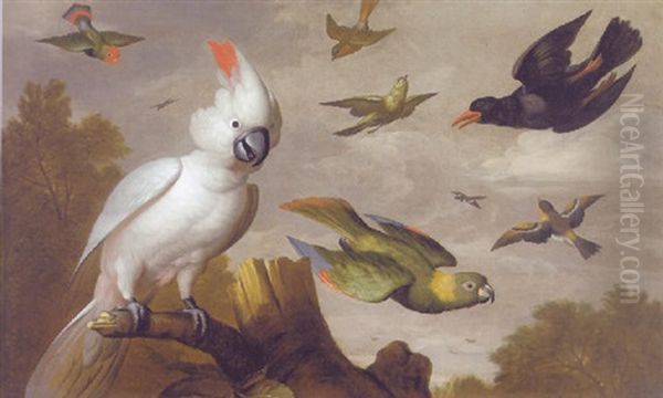 A Salmon-crested Cockatoo, A Red-faced Lovebird, A Magpie, A Yellow-naped Amazon And Other Birds In A Wooded Landscape Oil Painting by Jakob Bogdani