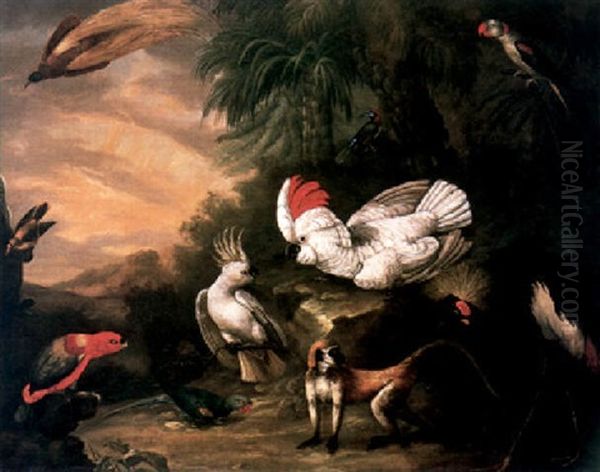 A Bird Of Paradise, A Lesser Sulphar Crested Cockatoo And Other Birds, And A Gibbon In A Tropical Paradise Oil Painting by Jakob Bogdani