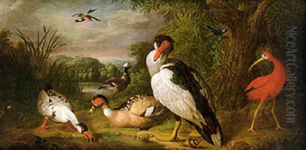 A Muscovy Duck, A Scarlet Ibis And Other Birds By A Willow In A River Landscape Oil Painting by Jakob Bogdani