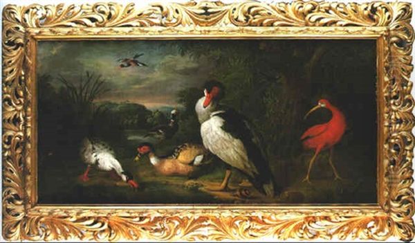 A Muscovy Duck, A Scarlet Ibis And Other Birds By Willow In Landscape Oil Painting by Jakob Bogdani