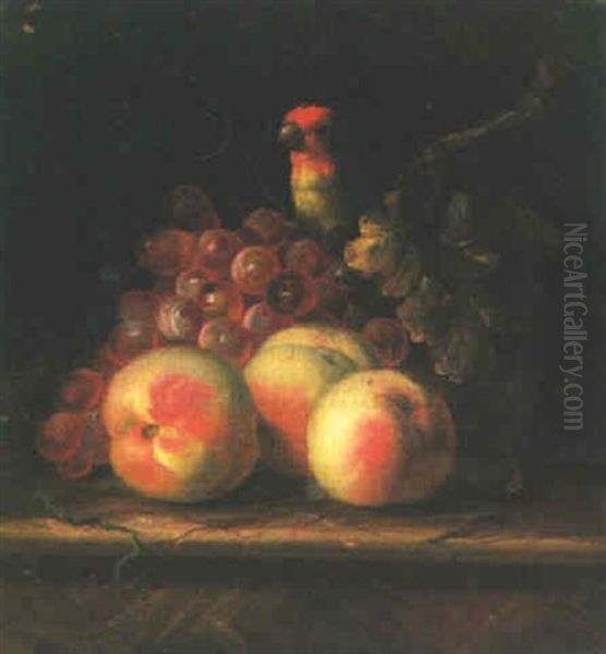 Peaches And Grapes With A Parrot On The Ledge Oil Painting by Jakob Bogdani