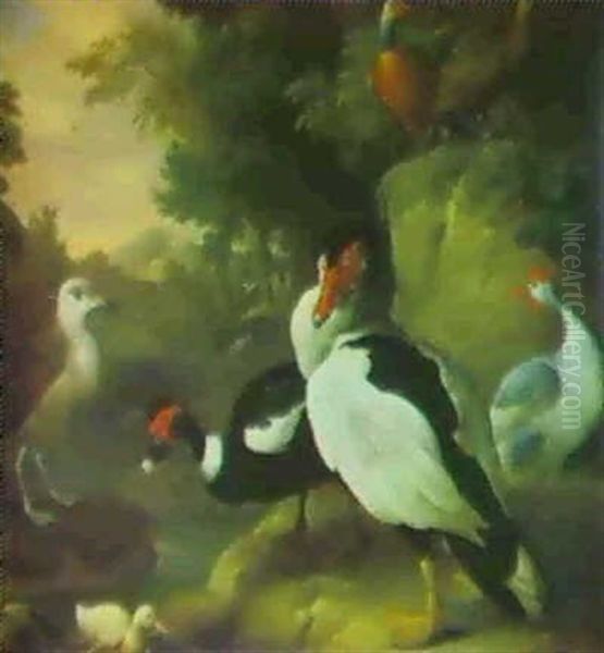 Partidges, Muskovy Ducks, A Juvenile Herring Gull And Other Birds In A Landscape Oil Painting by Jakob Bogdani