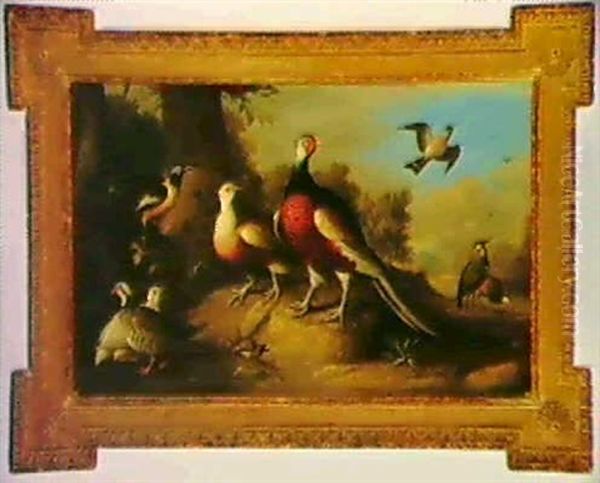 An Assembly Of Birds In A Lanscape Including A     Partridge... An Assembly Of Birds In A Landscape... Oil Painting by Jakob Bogdani