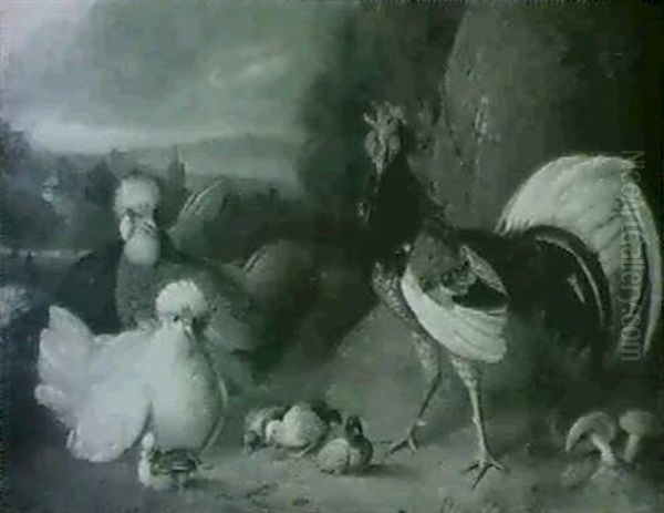 Chickens And Other Birds In An Extensive Landscape Oil Painting by Jakob Bogdani