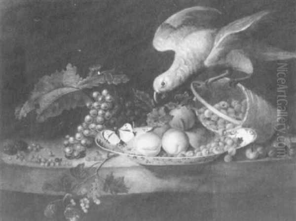 Grapes And Berries On A Ledge By A Blue And White Dish With Peaches And Raspberries, A Parrot Upsetting A Basket... Oil Painting by Jakob Bogdani