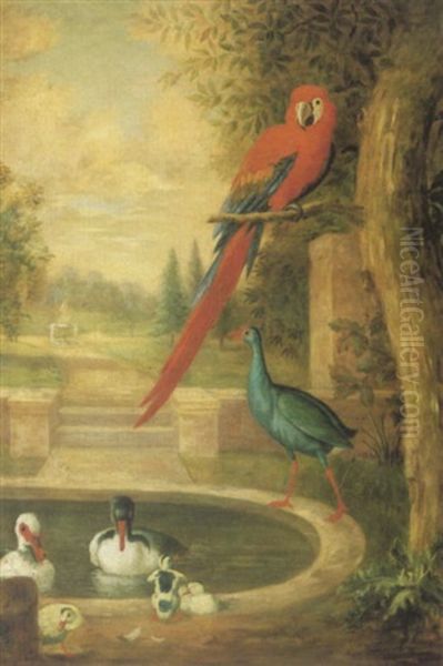 An Assembly Of Birds In A Landscape Including A Scarlet Macaw, Ducks And A Green-backed Gallinule Oil Painting by Jakob Bogdani