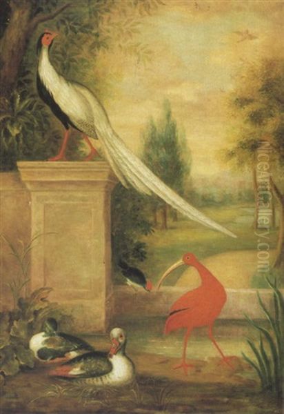 An Assembly Of Birds In A Landscape Including A Silver  Pheasant, Ducks And An Ibis Oil Painting by Jakob Bogdani