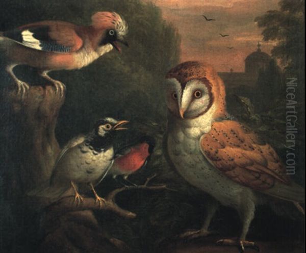 A Barn Owl, A Jay, A Bullfinch And Thrush In A Wooded Landscape Oil Painting by Jakob Bogdani