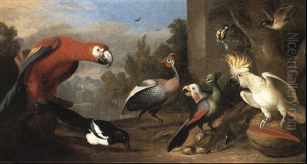 An Assembly Of Birds In A Landscape Including A    Macawm A Guinea Fowl, A Coal Tit, A Redwing Oil Painting by Jakob Bogdani