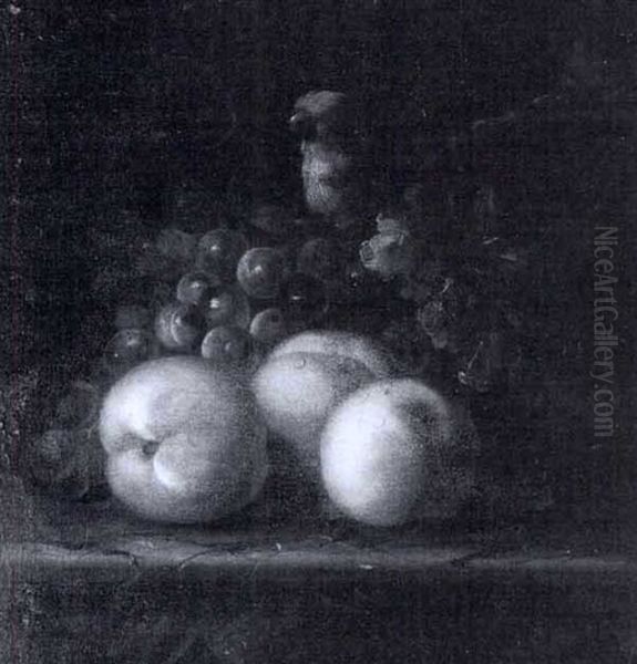 Peaches, Grapes And A Parrot On A Ledge Oil Painting by Jakob Bogdani