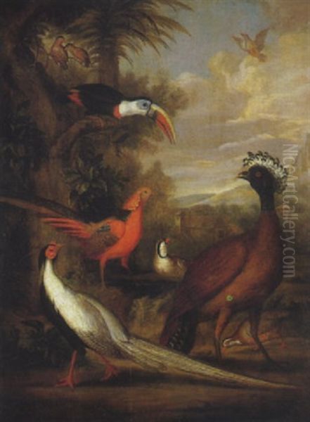 Golden And Silver Pheasant, Toucan, And Other Birds In A Landscape by Jakob Bogdani