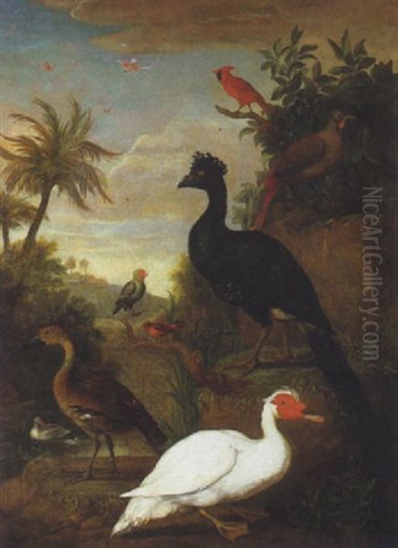 A Muscovy Duck, Curassow, Cardinal And Other Birds In A Landscape Oil Painting by Jakob Bogdani