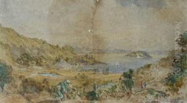 View Of Paihia Oil Painting by Martin Albin