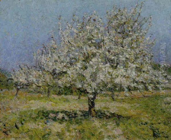 Alberi Con Fiori by Emilio Boggio