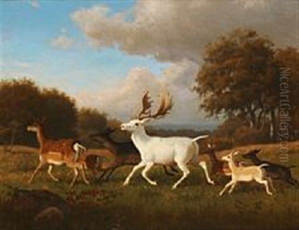 A Flock Of Game In A Forest Clearing Oil Painting by Carl Henrik Bogh