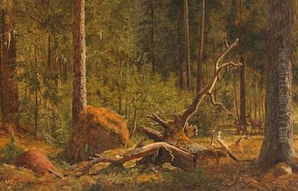 Forest Scene From The Deer Park North Of Copenhagen Oil Painting by Carl Henrik Bogh