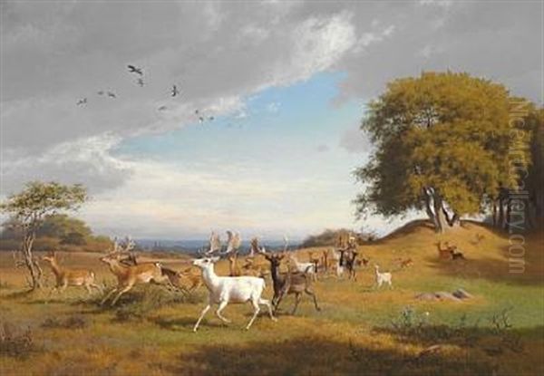 Summer Day With Deer In Dyrehaven, North Of Copenhagen Oil Painting by Carl Henrik Bogh