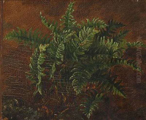 Ferns Oil Painting by Carl Henrik Bogh