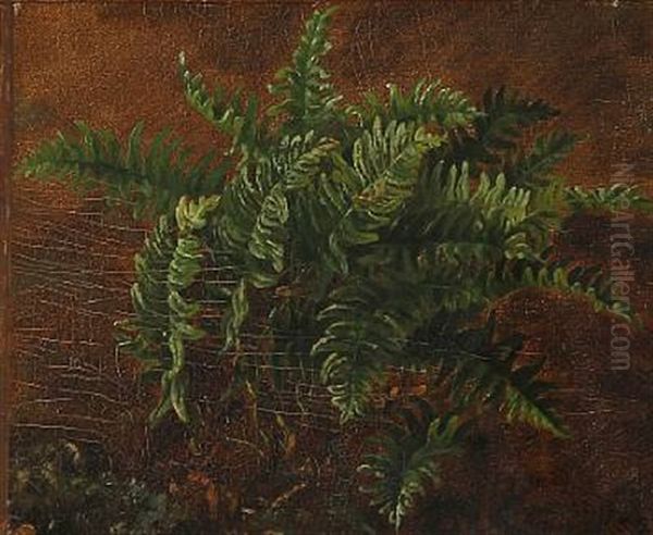 Ferns Oil Painting by Carl Henrik Bogh