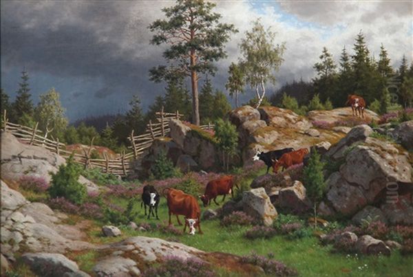 Heather And Rocky Slope With Grazing Cows In Smaland, Sweden Oil Painting by Carl Henrik Bogh