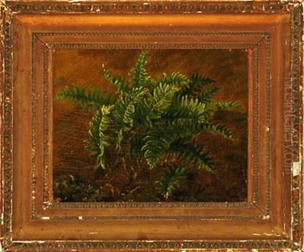 Fern In A Forest Floor (study) Oil Painting by Carl Henrik Bogh