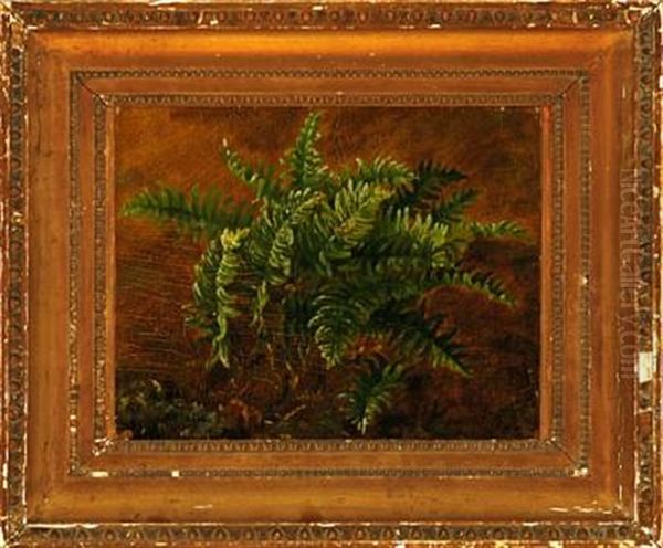 Fern In A Forest Floor (study) Oil Painting by Carl Henrik Bogh