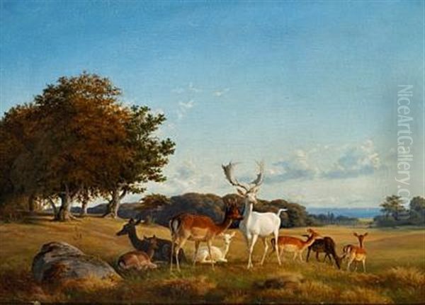 View Of Dyrehaven (the Deer Garden) With Fallow Deer Oil Painting by Carl Henrik Bogh