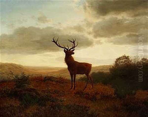 En Kronhjort I Et Hedelandskab Ved Skumringstid Oil Painting by Carl Henrik Bogh