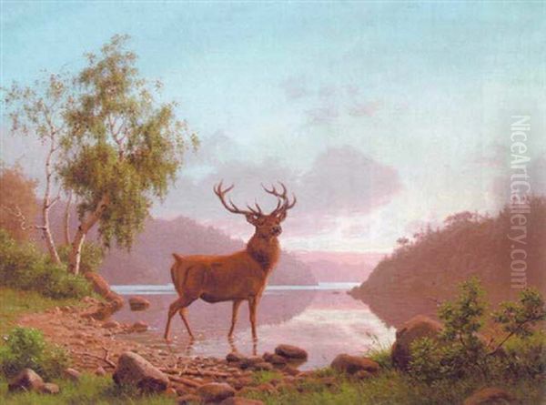 Kronhjort Ved En Skovso Oil Painting by Carl Henrik Bogh